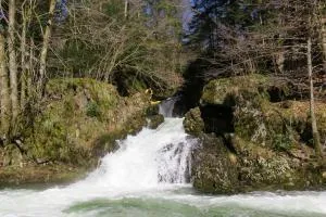 2103-04-14: Ce jour là beau temps =intermède sur un des bras de la "cascade de Crémillot"